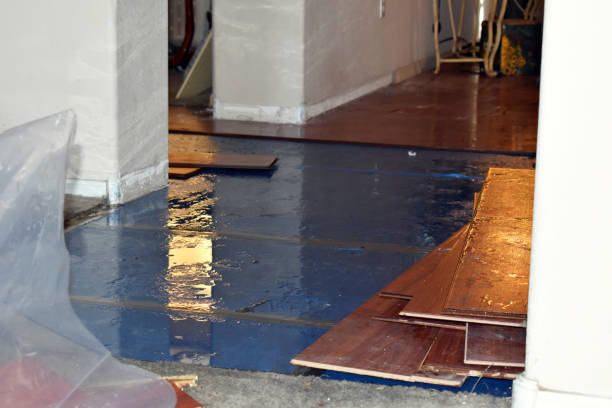 Professional Basement Flood Cleanup technician working in Sargent, TX